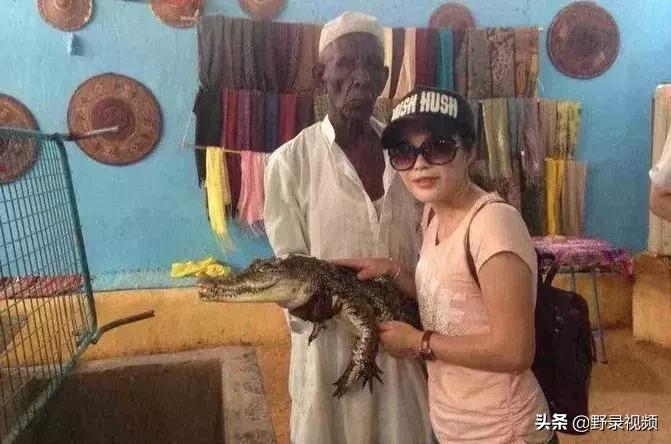 把非洲鳄界扛把子当宠物养是一种怎样的体验？