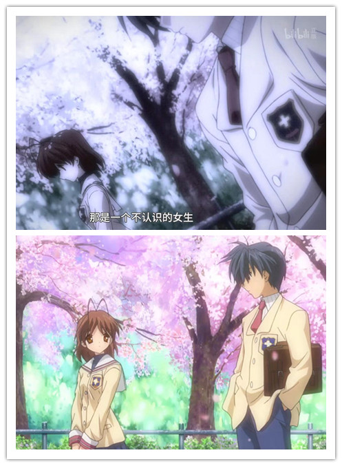 动漫樱花有什么含义,日本动漫中樱花文化