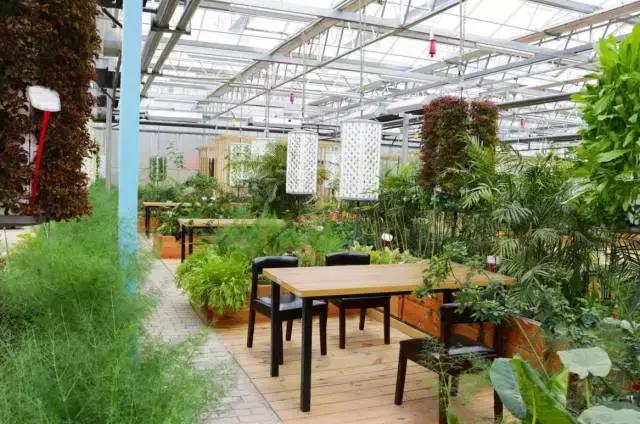 120亩自然营地,120公顷的庄园