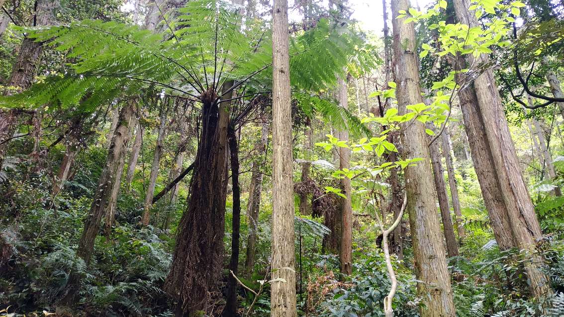 福州南屿古道旅游,福州南屿温泉水疗