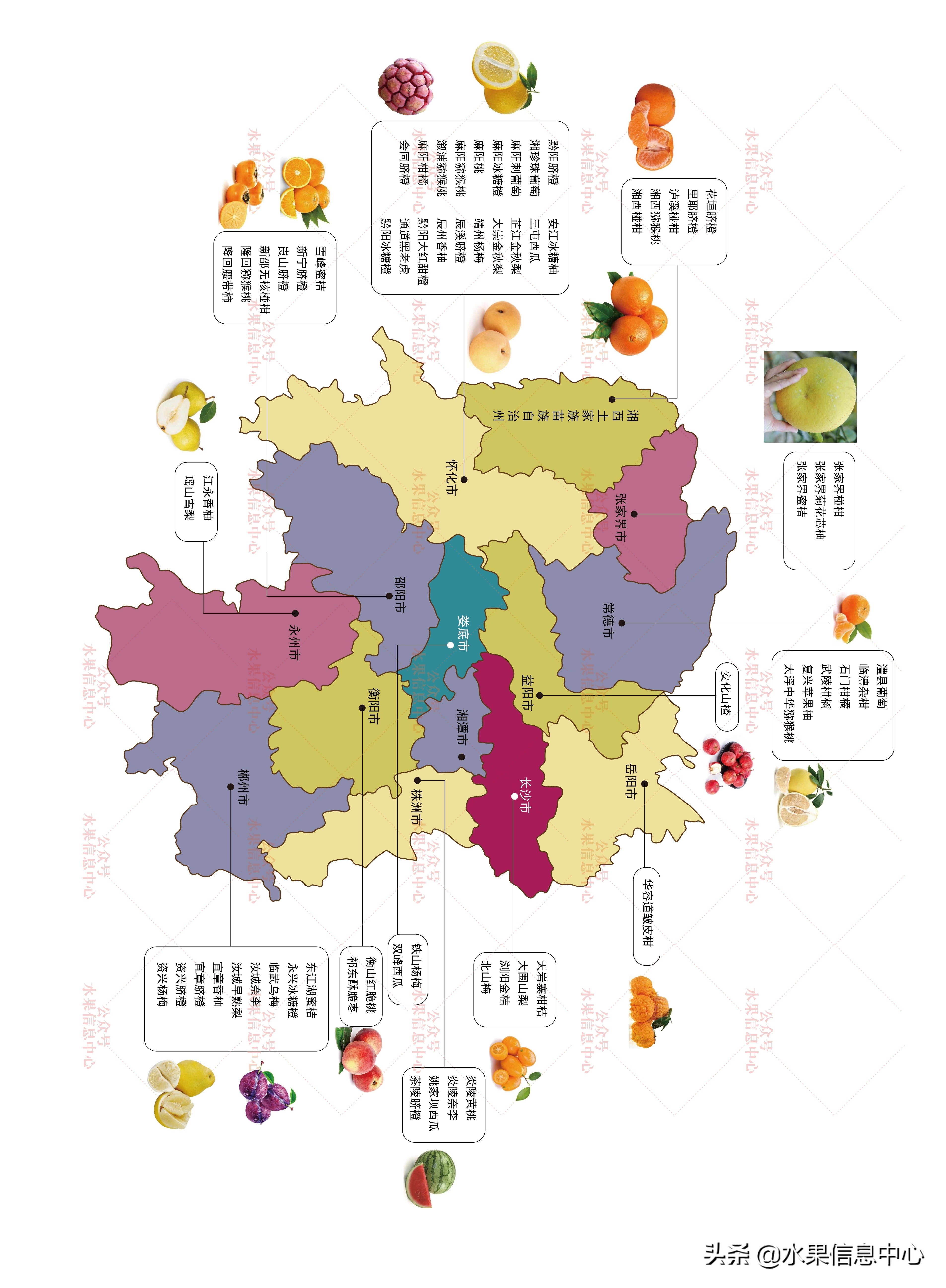 湖南各个地方的水果,长沙水果地图
