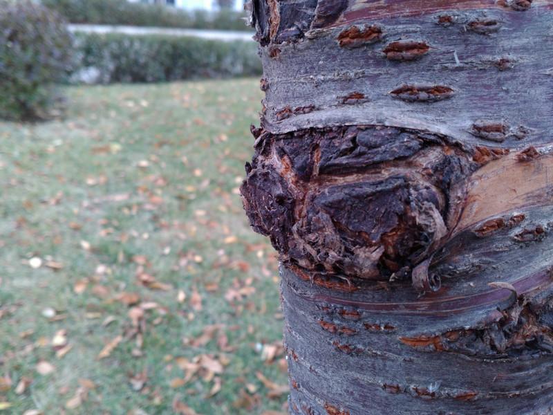 联想手机乐檬k3,联想乐檬k30