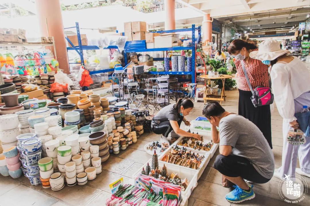 逛逛园博花鸟市场,园博花鸟市场攻略