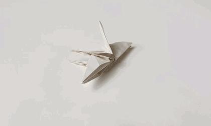 吉尼斯世界纪录折纸人,吉尼斯世界纪录折纸折了13次