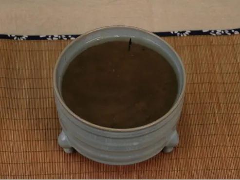 自家栽培微型观赏碗莲,迷你盆栽碗莲带花苞