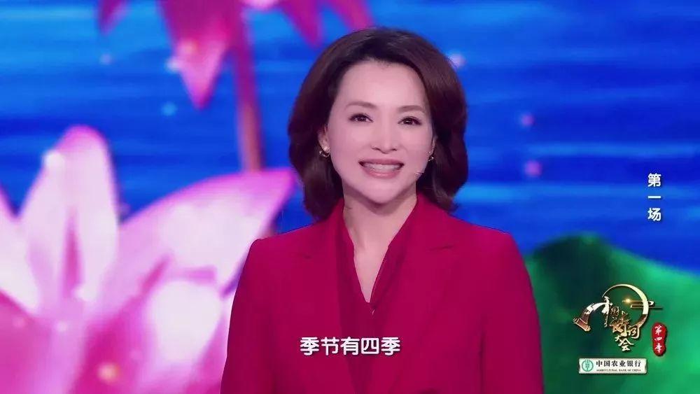 董卿在中国诗词大会的唯美开场词,董卿诗词大会第四季第七场开场词