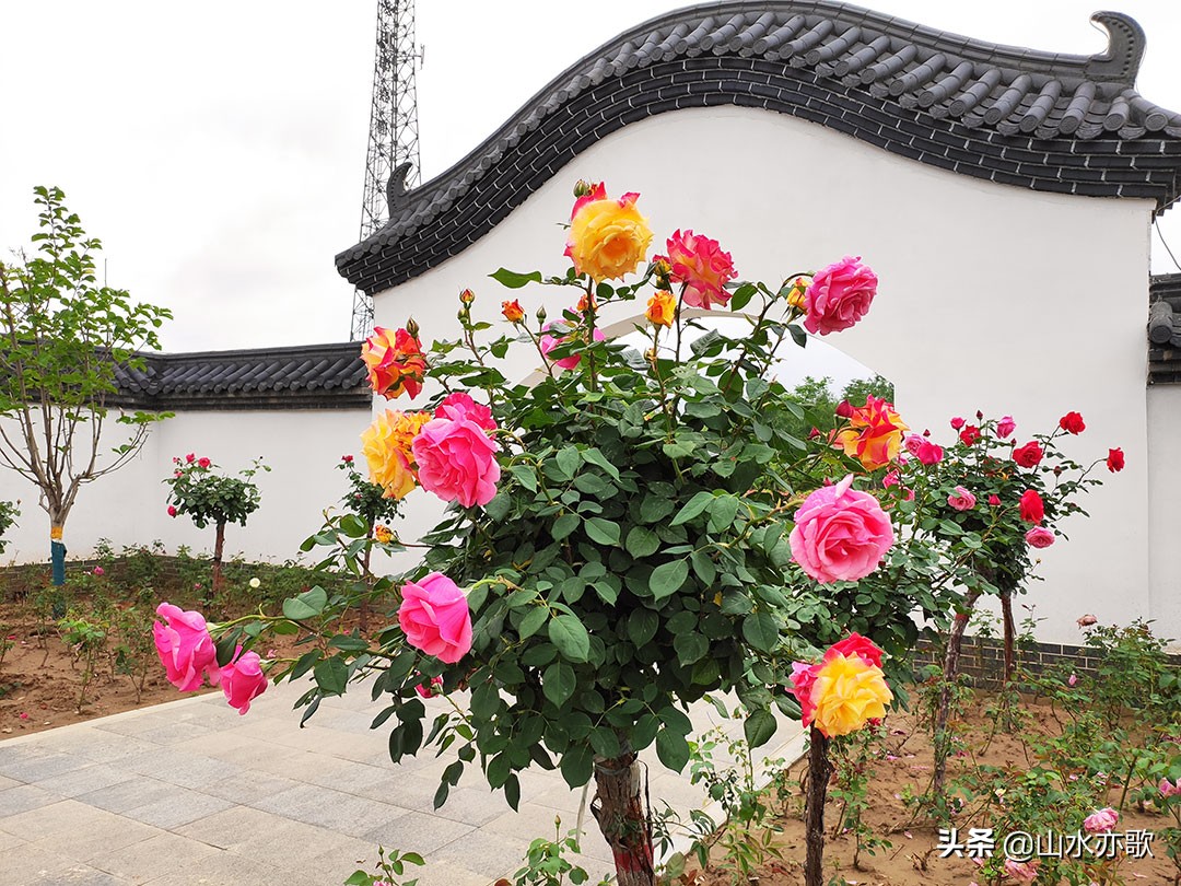 石家庄环城水系哪里好玩,石家庄东南水系公园