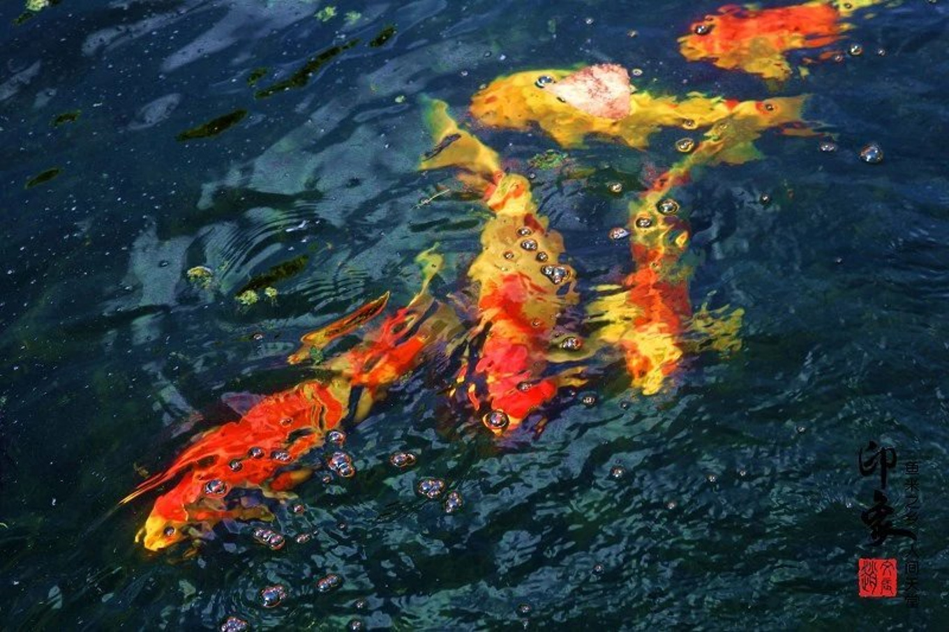 江苏最落后的县城gdp在全国排名,江苏省中有哪些被低估的市