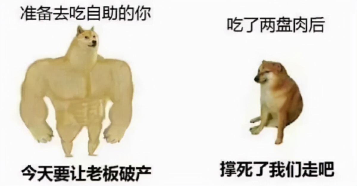 看到铲屎官终于回家，立即安心地睡着了|冷段子1986