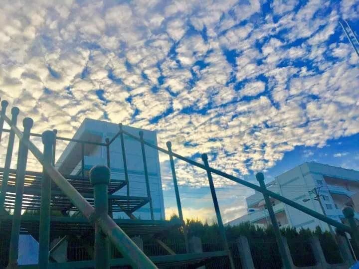 武汉32所重点小学大pk,武汉市十大美丽中学