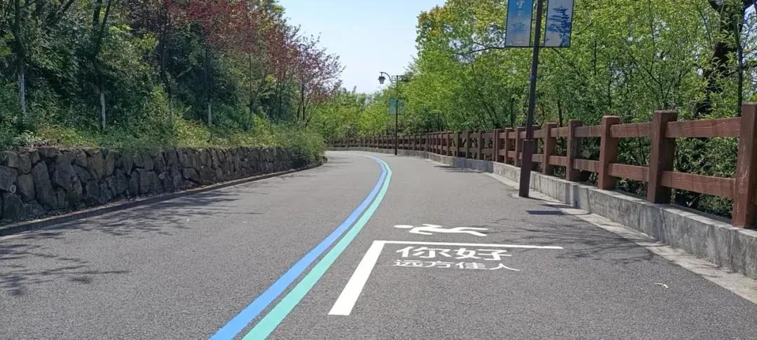 2019年杭州最美绿道,余杭街道苕溪北岸绿道
