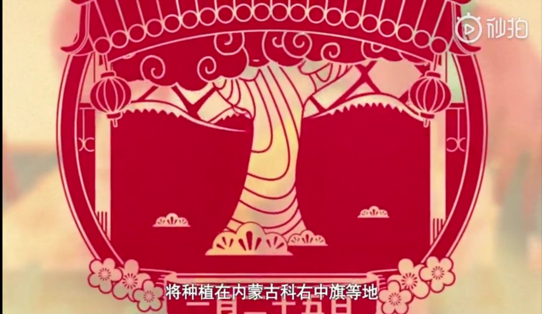 2024年支付宝集福攻略,2022支付宝集福活动什么时候开始