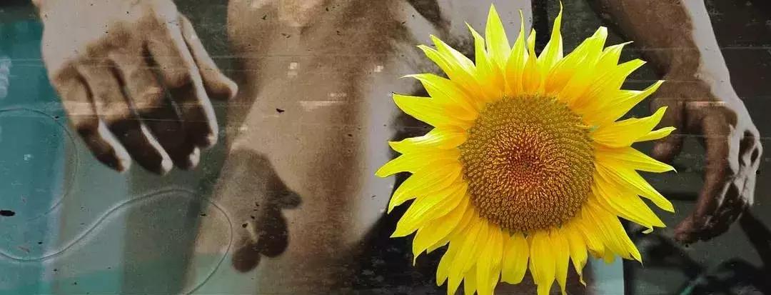 惊悚无比的5部人格分裂电影,这些看完怀疑自己人格分裂的电影