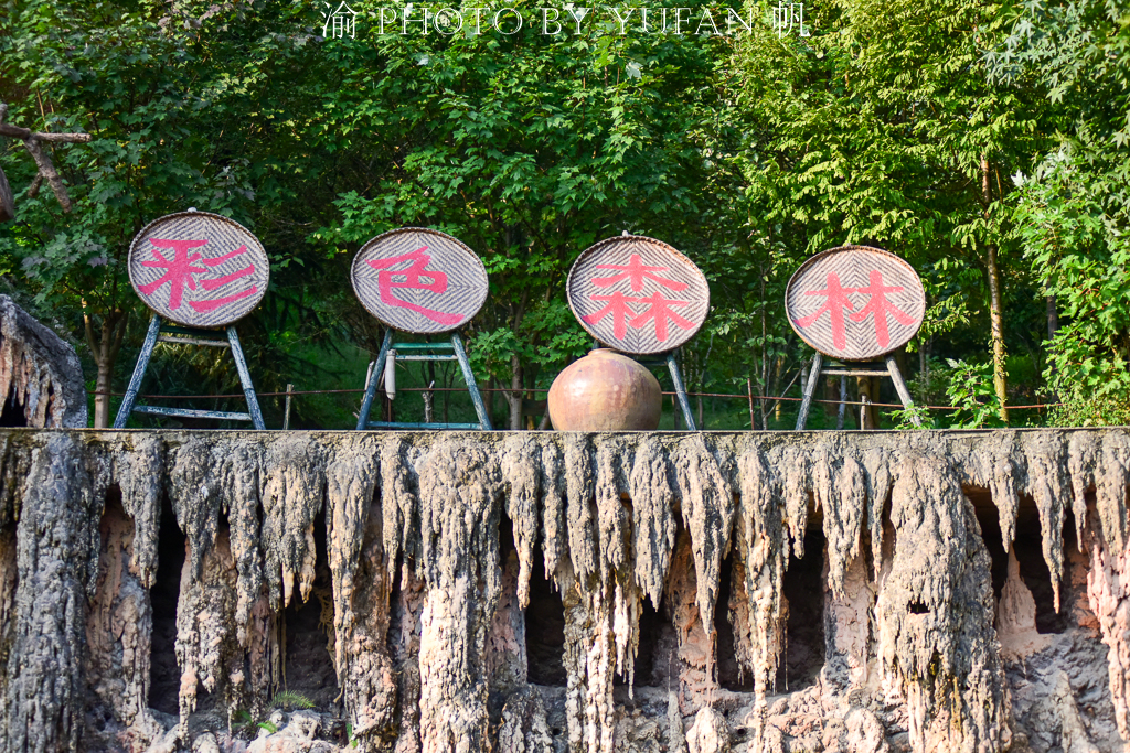 周末去哪儿玩重庆巴南,巴南周末户外带孩子去哪里玩