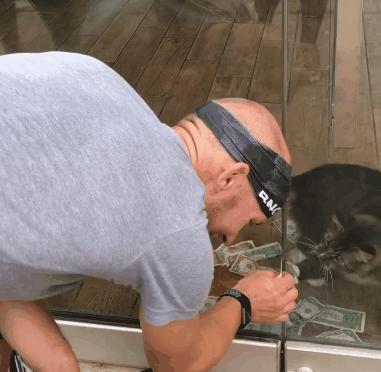 招财猫说实话,招财猫有什么猫腻