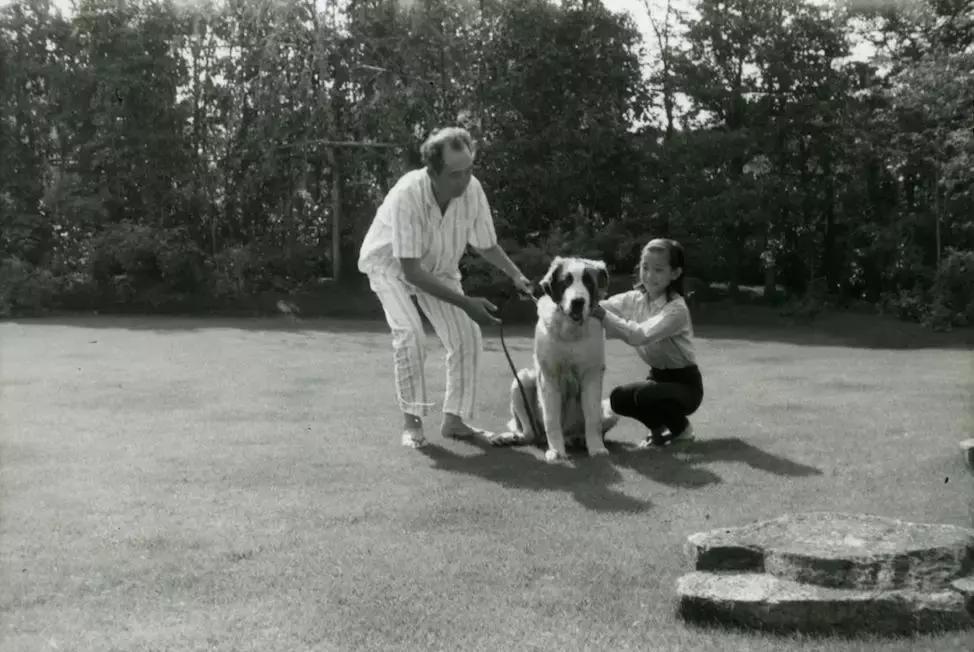 黑泽明经典电影,黑泽明电影解说