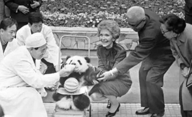 1972年，尼克松不满意毛主席送的4两茶叶，周总理如何轻松化解？