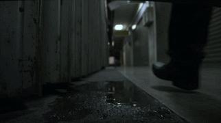 恕我直言综艺完整版在线,恕我直言综艺完整版