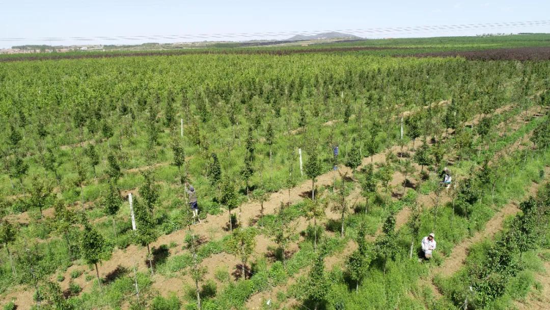 高质量发展项目清单,高质量发展项目汇报