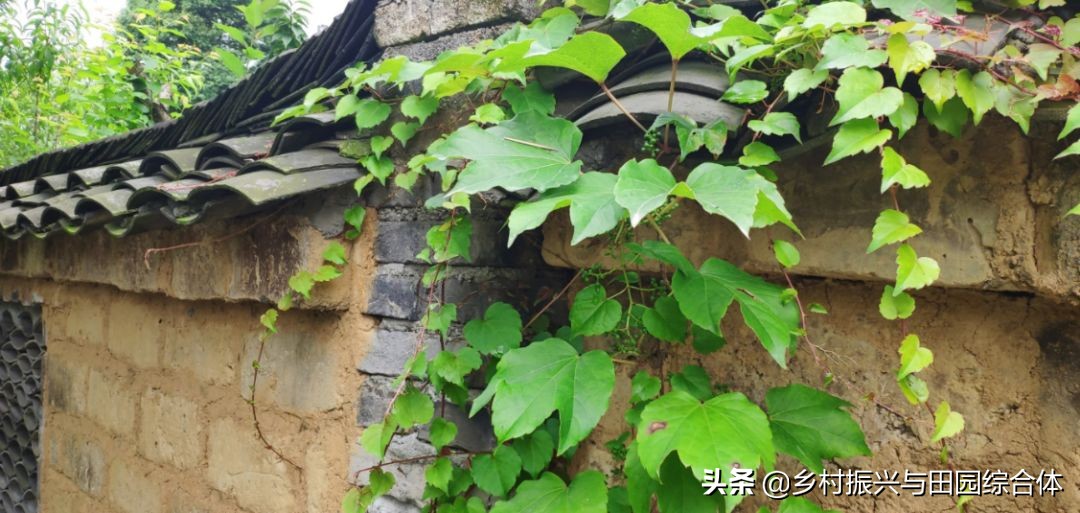 第四批全国一村一品示范村名单,农业农村部第九批一村一品示范镇