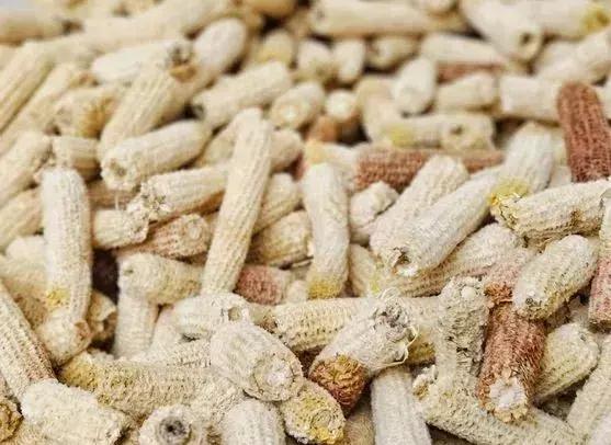 玉米芯一亩能赚多少钱,做玉米芯赚钱吗