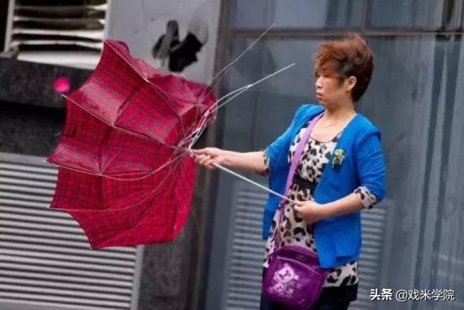 最厉害的一把伞,抗风能力超强自动伞