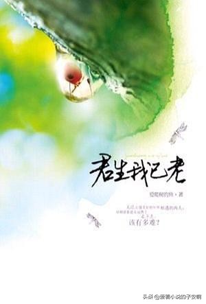 姐弟恋小说系列文,姐弟文虐恋小说精选