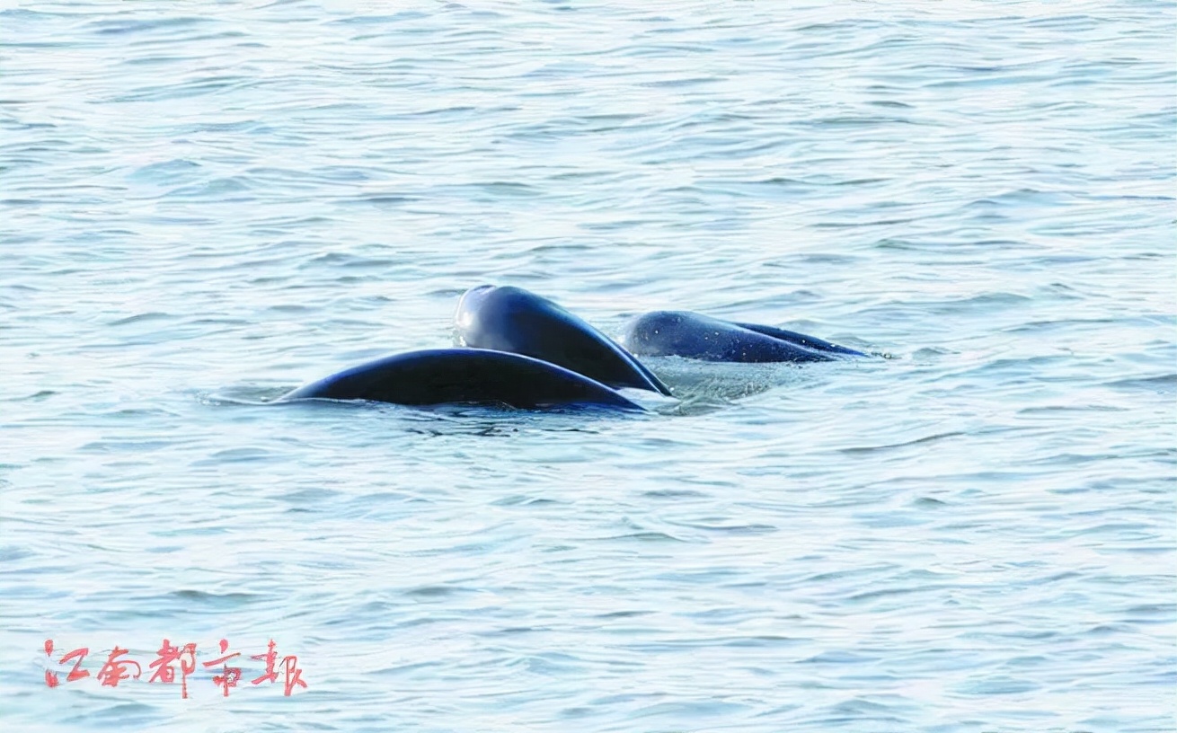 曝光荆州这些单位上黑榜,荆州黑榜名单