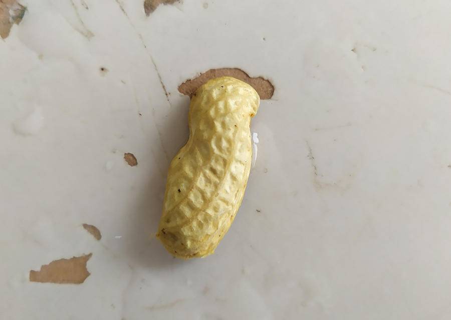 同样是电动牙刷,凭什么它可以卖上千块