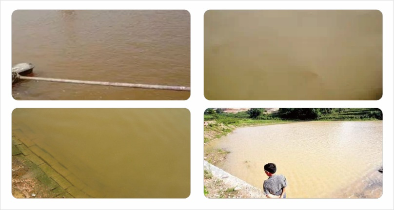 养殖塘水黄怎么解决,养殖池塘白浊水什么原因造成的