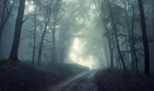 拍案惊奇湖中女尸完整版,拍案惊奇离奇案件