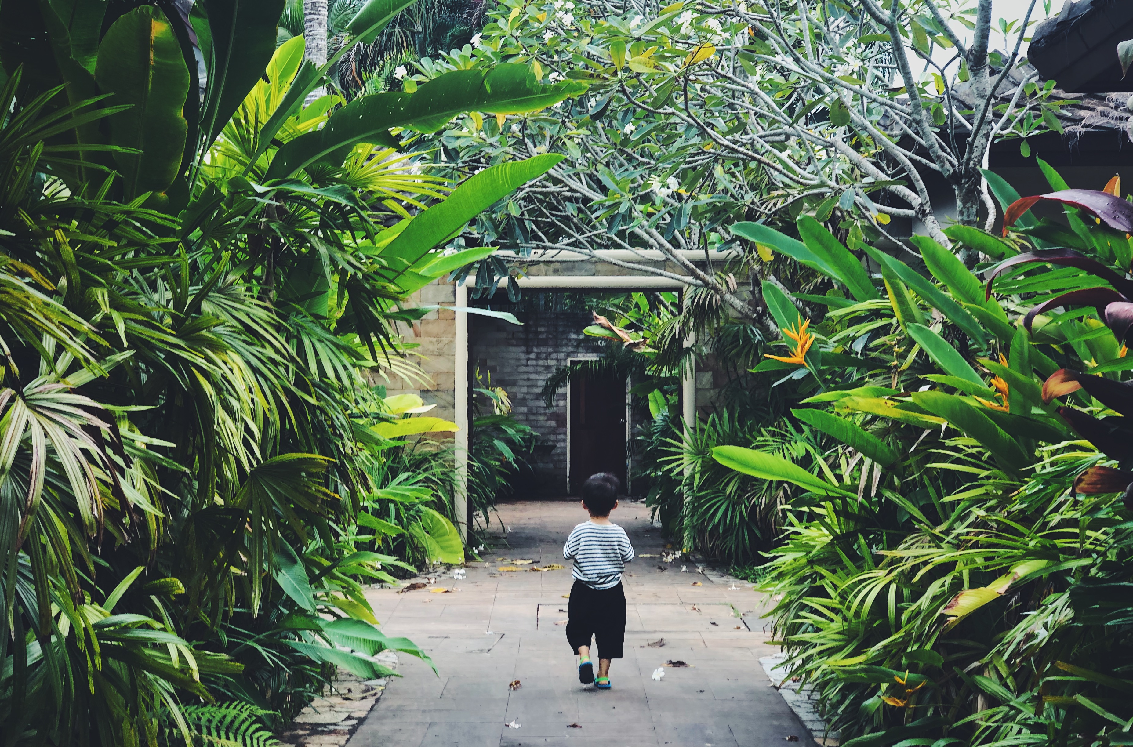 普吉岛三天旅游攻略,普吉岛怎么玩视频