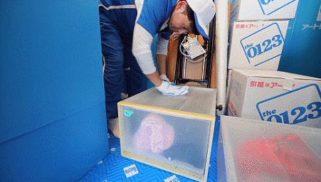 “变态”到极致的日本人，连搬家都不放过，网友拍下全过程！