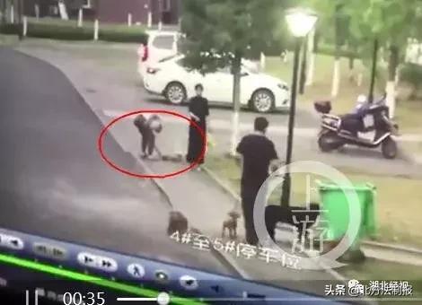 女子遛3只狗不牵绳！湖北男子遭狗撕咬*体下**受伤严重，缝了30多针