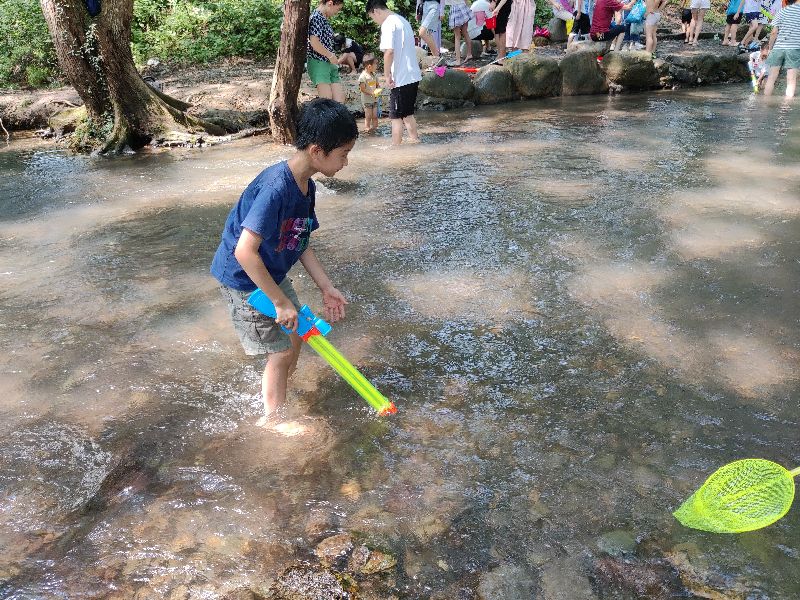 黄山带娃旅游攻略一日游最佳线路,春节西安到黄山自驾游攻略