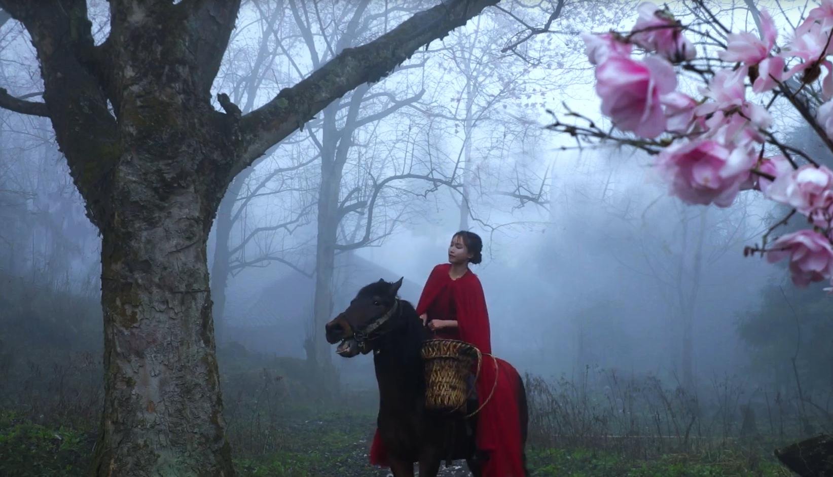 李子柒一岁辍学,李子柒七岁辍学31岁身价过亿