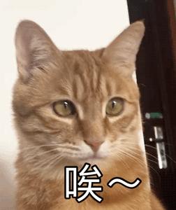 关于火车票退票的最新规定,火车票退票有哪些规定与时限