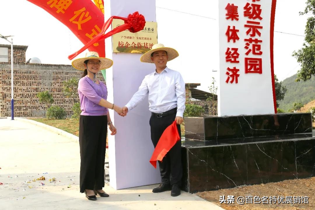 百色市益众公司,百色市益众农业科技有限公司