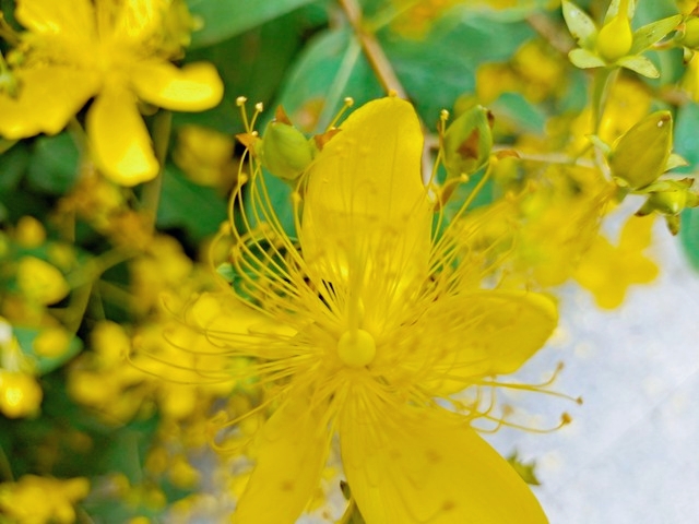 绝对值的数学题大全,数学绝对值基础知识