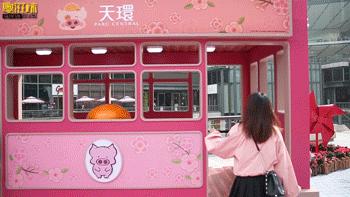 麦兜带你玩转江浙沪,麦兜潮玩