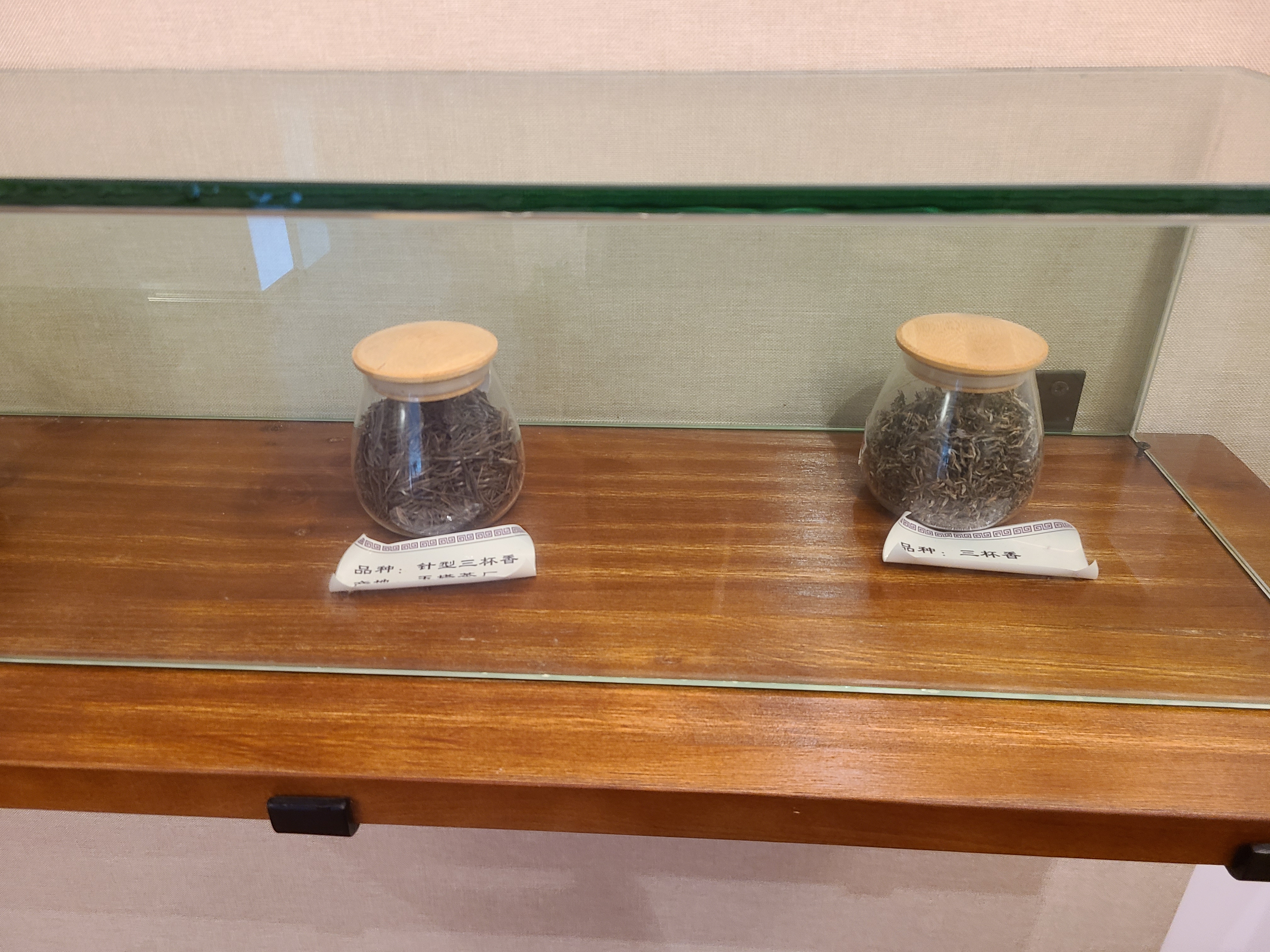 泰顺最出名的茶叶 (泰顺名茶有哪些)