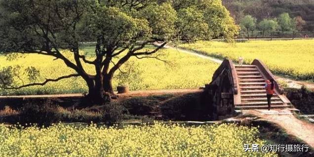 苏州太湖西山岛江浙沪最强攻略,太湖西山岛旅游完整攻略