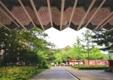 又双叒叕获奖合理吗,中国骄傲2018获奖人物