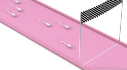 论当我还是一颗精子时,是如何跨越重重阻碍与“她”相遇