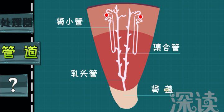 六岁男孩尿结石怎么办,6岁小孩肾结石是什么原因引起的