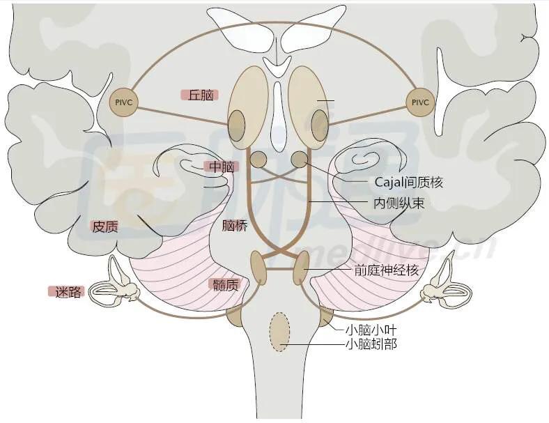 天旋地转恶心呕吐怎么缓解,总是天旋地转恶心呕吐怎么回事