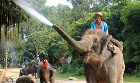 泰国旅游攻略泰语,泰国长期生活攻略