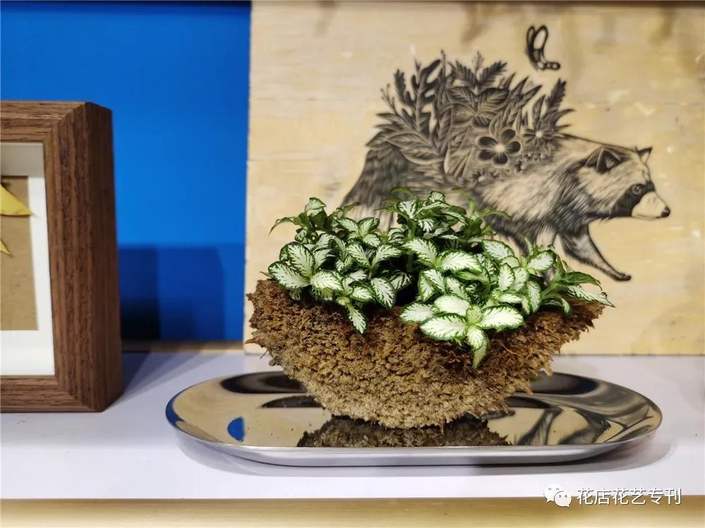 涓婃捣蹇呮墦鍗＄殑鑺卞簵,涓婃捣鑺卞簵缃戠孩