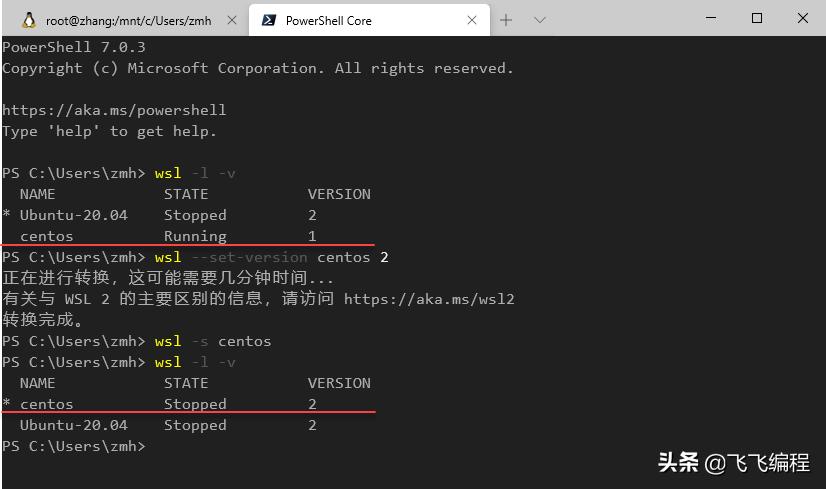 wsl2.0.0,centos8搭建nginx服务器