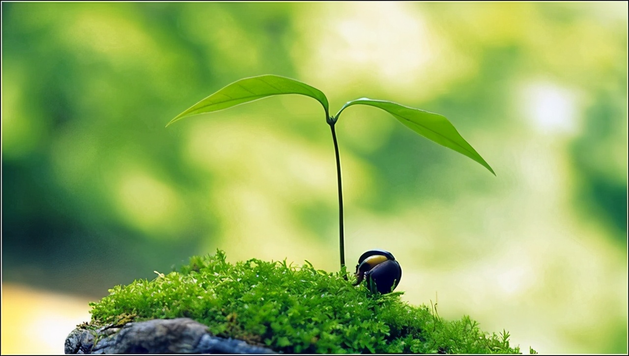我把抑郁当感冒治，从沉重的焦虑中走出来，抑郁没再来敲门